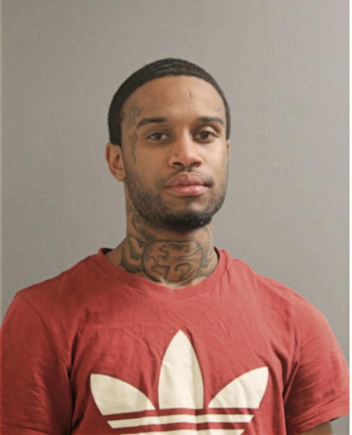 JORDAN L WHITE, Cook County, Illinois