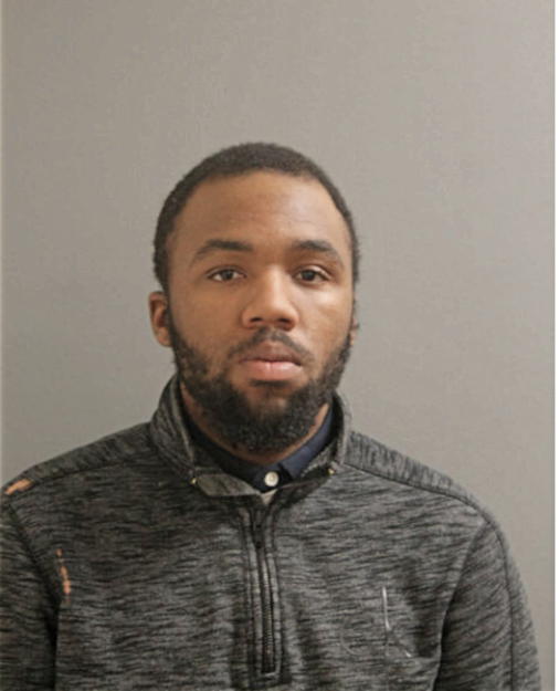 MAURICE T YOUNG, Cook County, Illinois