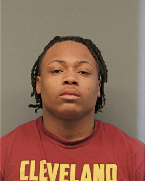 TAYVEON R YOUNG, Cook County, Illinois