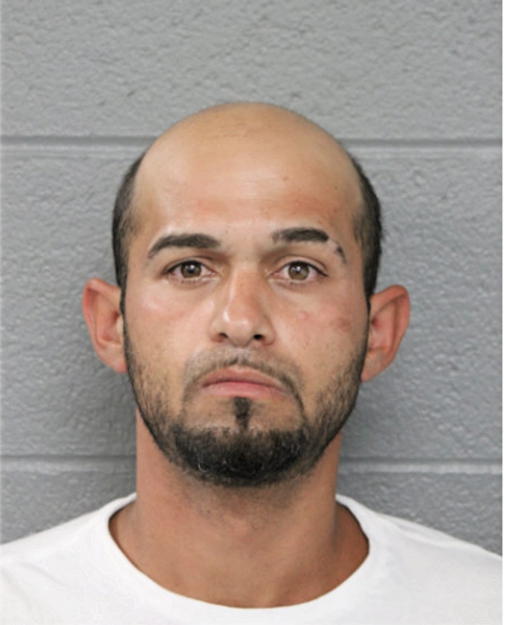 ALEX T ZIKO, Cook County, Illinois