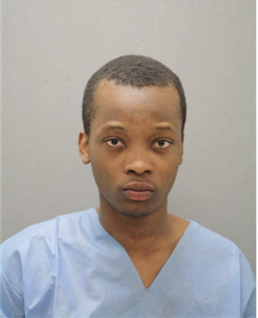 JUNIOR K ADZIWONOU, Cook County, Illinois