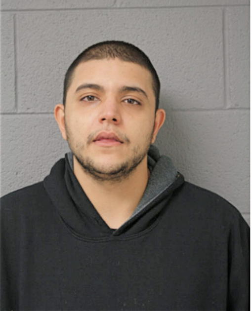 MOHAMMAD J ALBIS, Cook County, Illinois