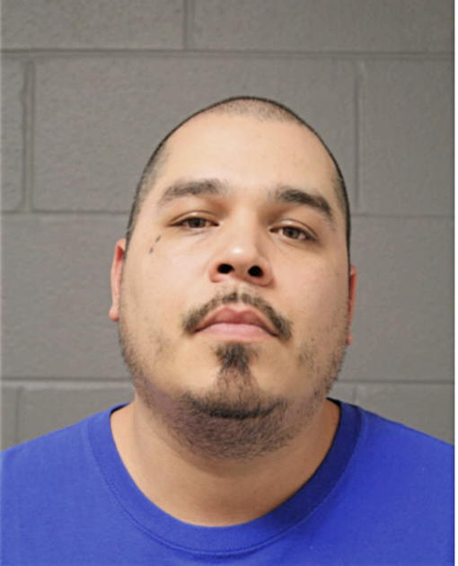 GEORGE E ANDRADE, Cook County, Illinois