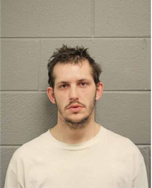 JAMES D ANGELONI, Cook County, Illinois