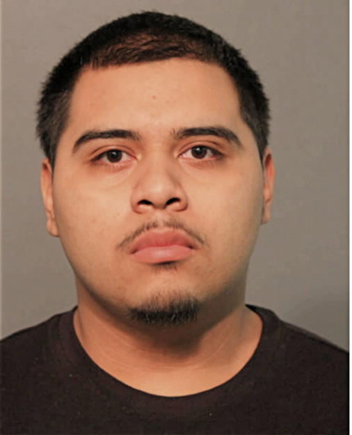 BRALLAN AREAGA, Cook County, Illinois
