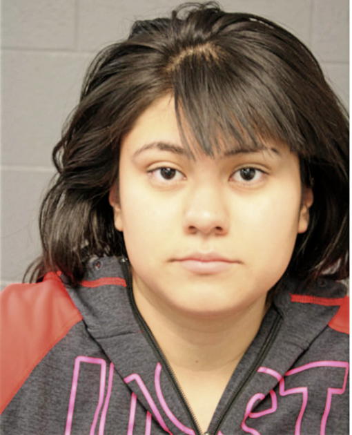 SANDRA C ARROYO, Cook County, Illinois