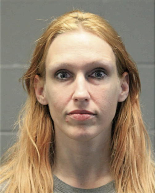 HOLLY M BARABASZ, Cook County, Illinois