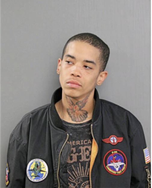 JAY L BAUMANN, Cook County, Illinois