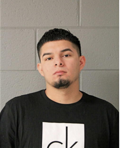 IVAN BUSTOS, Cook County, Illinois