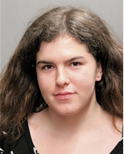 JERI S CARRIVEAU, Cook County, Illinois
