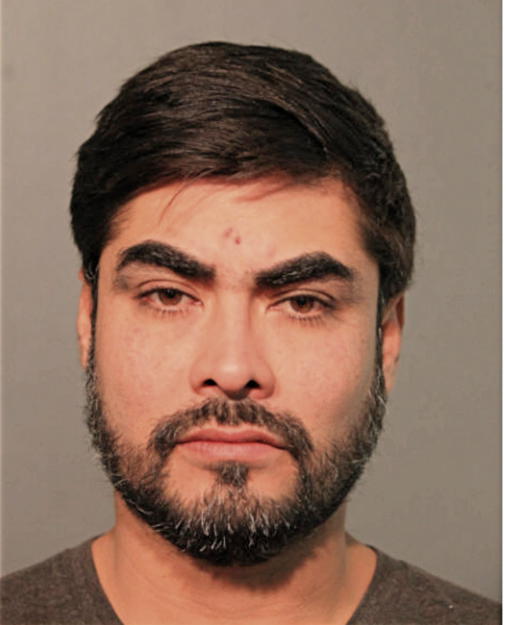 CELSO CASTREJON, Cook County, Illinois