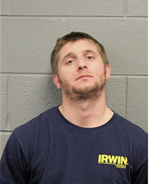 DONN A COLLEVECHIO, Cook County, Illinois