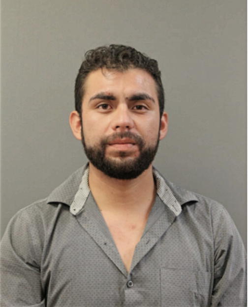 LUIS CORTES-BERNAL, Cook County, Illinois