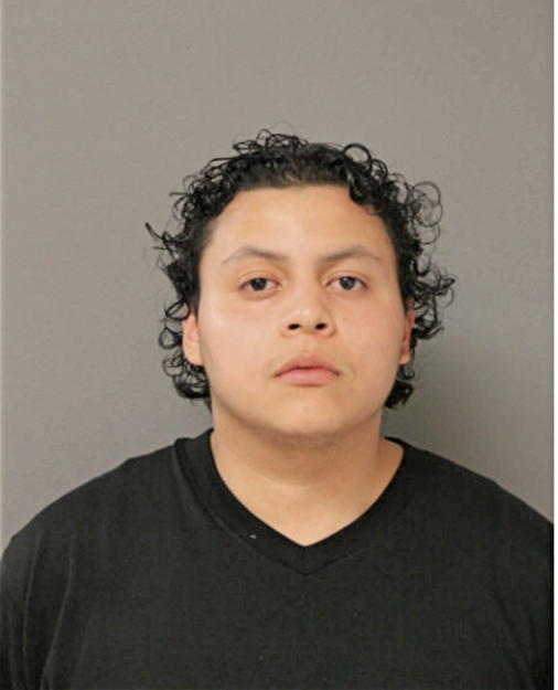 DAVID A DIAZ, Cook County, Illinois