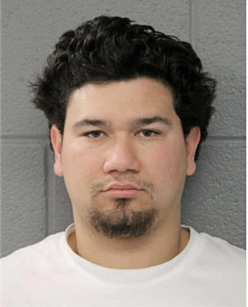 LEDWIN FANA, Cook County, Illinois