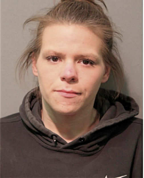 CAROL A FRIEDBERG, Cook County, Illinois