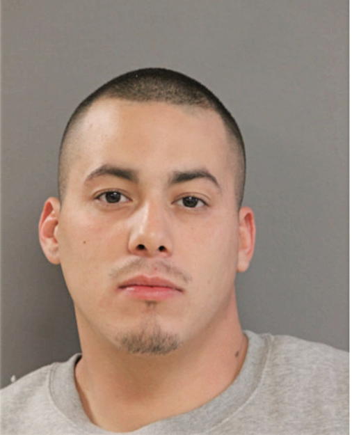 CHRISTOPHER T GRIFFIN, Cook County, Illinois