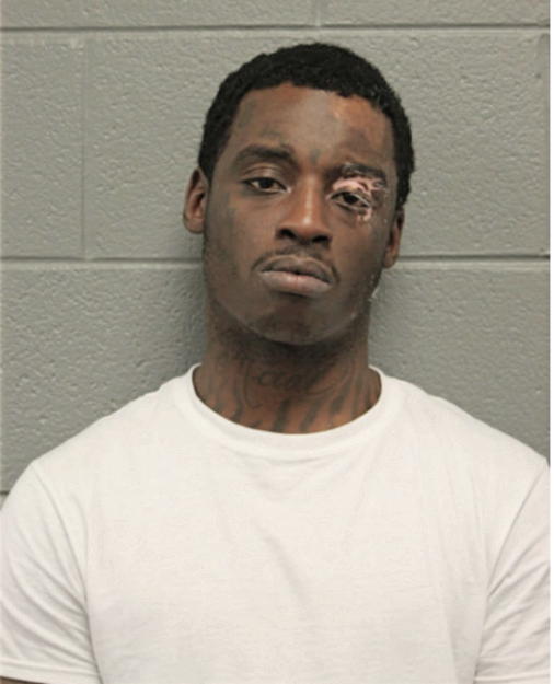TERRANCE GROSS, Cook County, Illinois