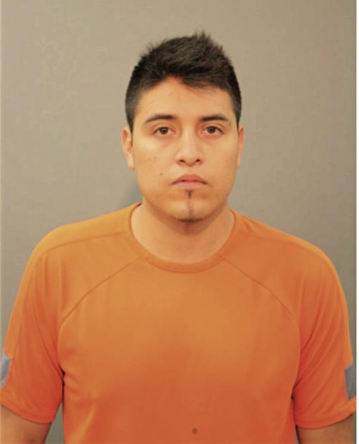 MARTIN GERMAN GUADARRAMA-MORALES, Cook County, Illinois