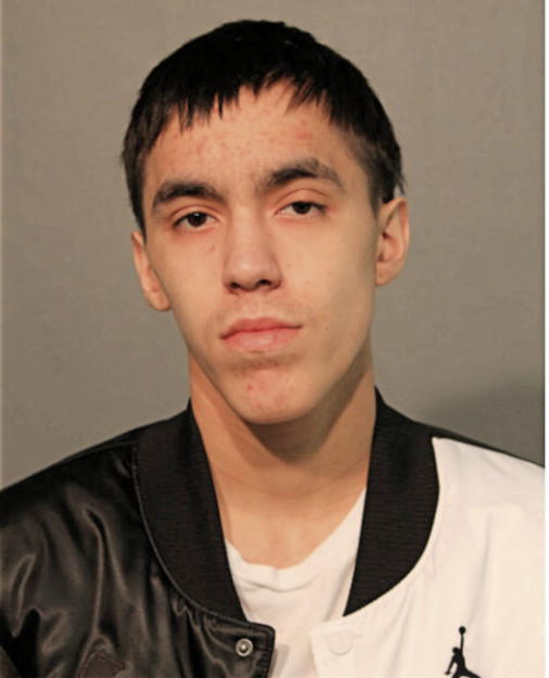 ALEXANDER L HERNANDEZ, Cook County, Illinois