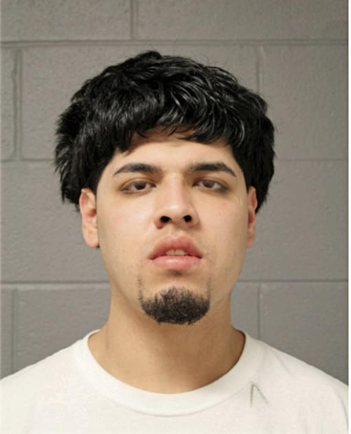PONCIANO HERRERA, Cook County, Illinois