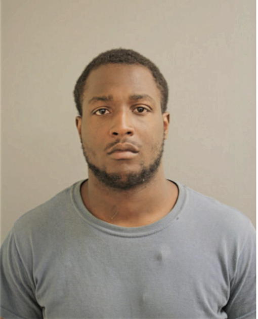 PARIUS HOLLINS, Cook County, Illinois