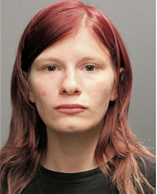 VALERIE ISAAC, Cook County, Illinois