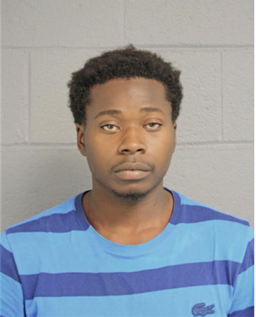 TERRANCE C JOHNSON, Cook County, Illinois