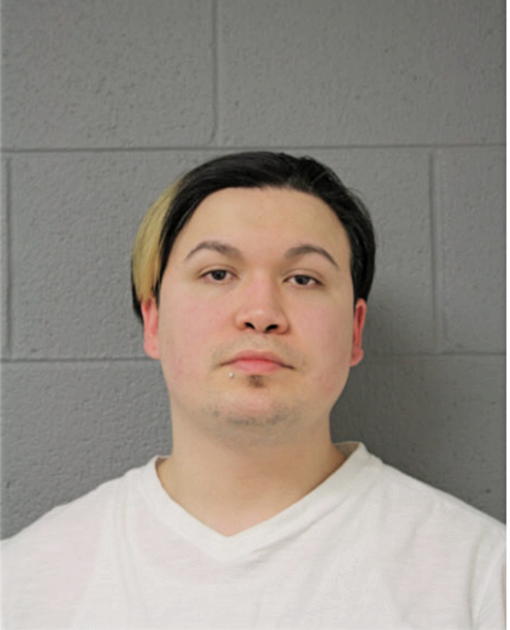 GILBERTO J KING, Cook County, Illinois
