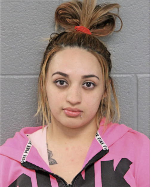 AMERICA S LARA, Cook County, Illinois