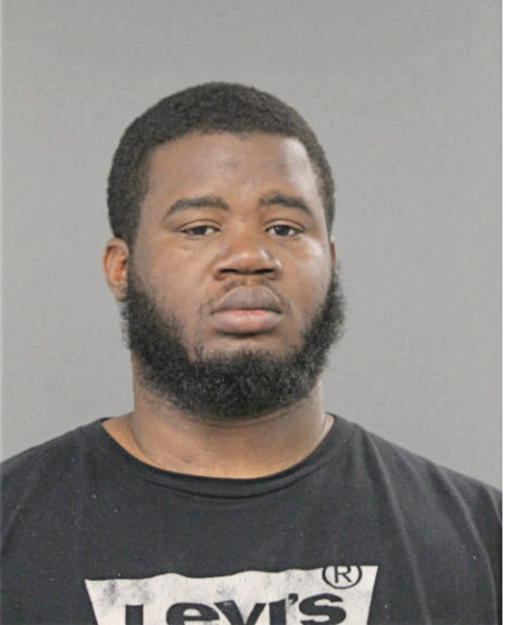 ANTHONY L LEHMANN, Cook County, Illinois