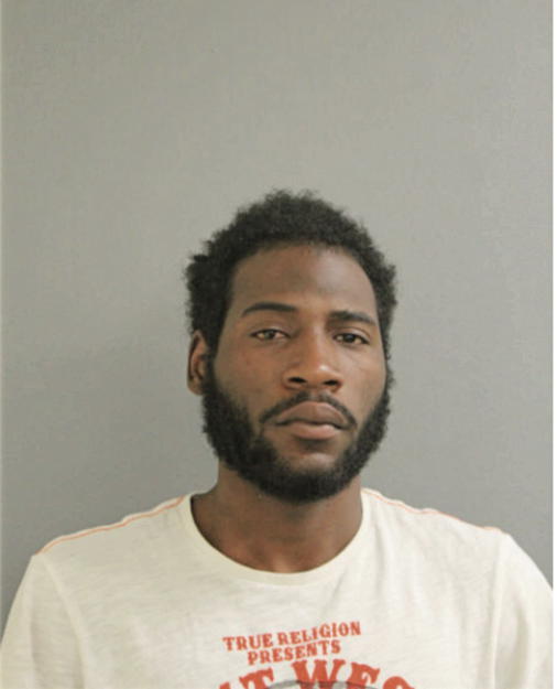 BRIAN LEWIS, Cook County, Illinois