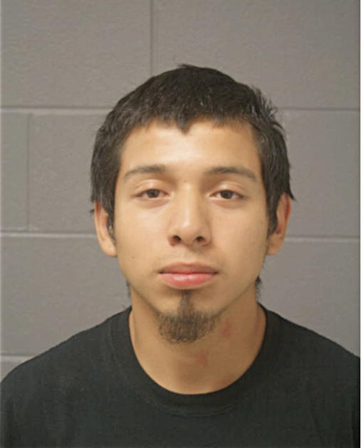 RICARDO MARTINEZ, Cook County, Illinois