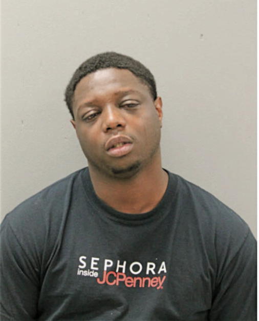DERRICK D MCMICHAEL, Cook County, Illinois