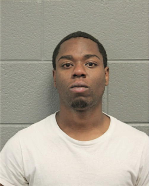 TYLER O NELSON, Cook County, Illinois
