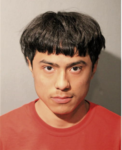 FERNANDO PENA, Cook County, Illinois
