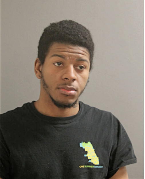 MICHAEL K RAGGS, Cook County, Illinois
