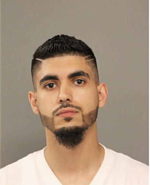 MOSA SHIHADEH, Cook County, Illinois