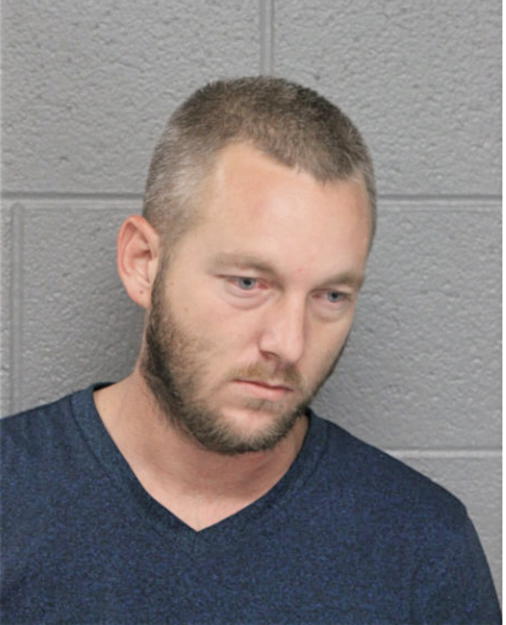 FRANK D SUMMERVILLE, Cook County, Illinois