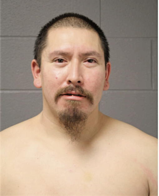 DAVID I TORRES, Cook County, Illinois
