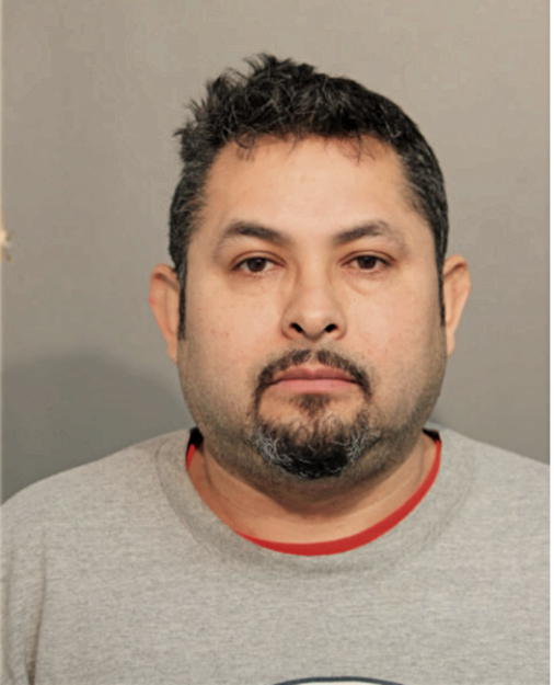 NOE P URIBE, Cook County, Illinois