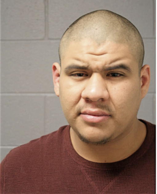 ANGEL ALCANTAR, Cook County, Illinois