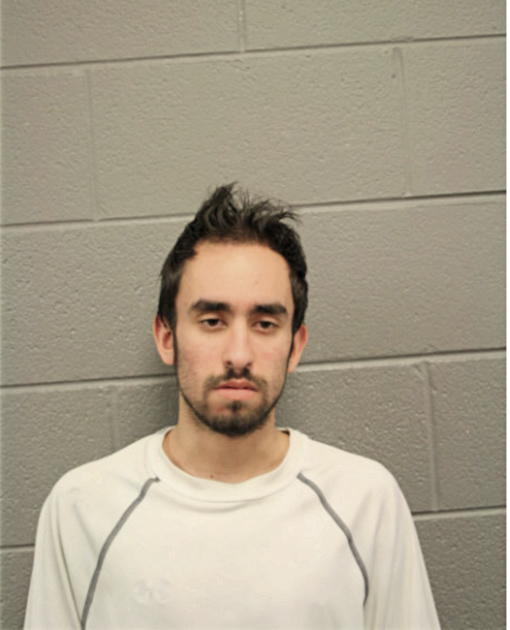 MICHAEL S BAMBOUYANI, Cook County, Illinois