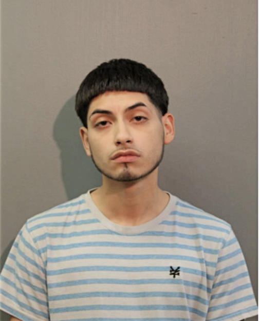 HUMBERTO BERBER, Cook County, Illinois