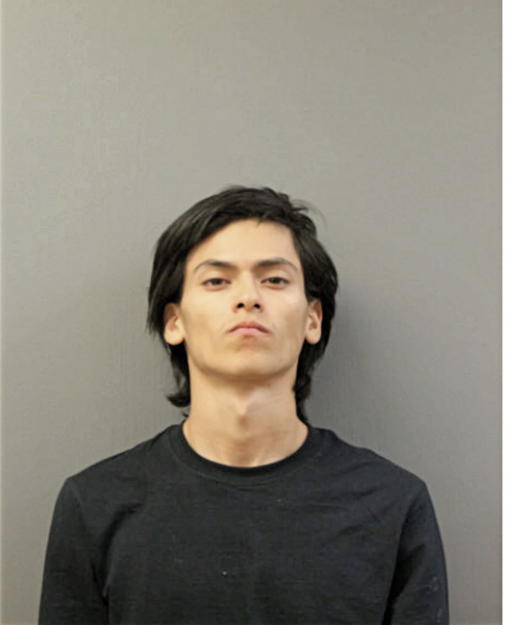 CARLOS E CALIX, Cook County, Illinois