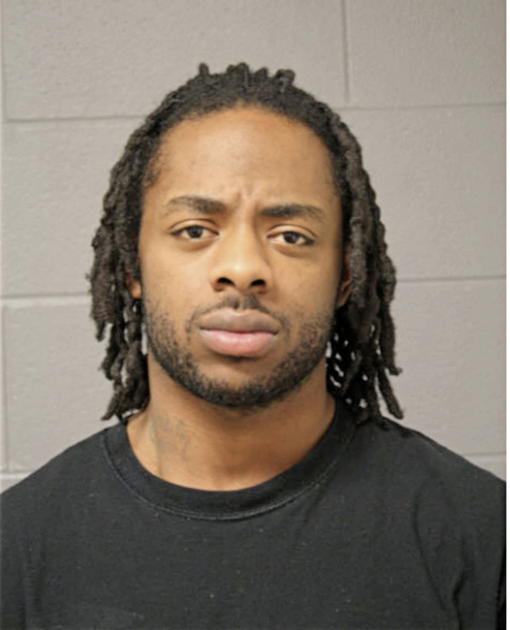 RYAN C COLLINS, Cook County, Illinois