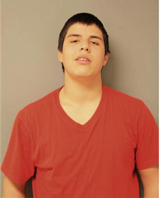 IVAN DAVILA, Cook County, Illinois