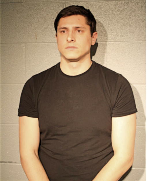 AMIR DIZDAREVIC, Cook County, Illinois
