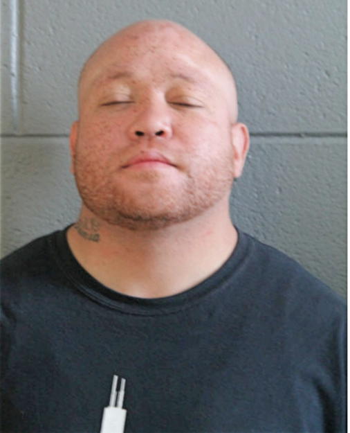 BRIAN D DYSON, Cook County, Illinois