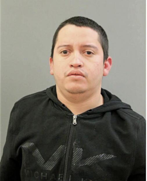 ROBERTO GALEANA-SOBERANIS, Cook County, Illinois